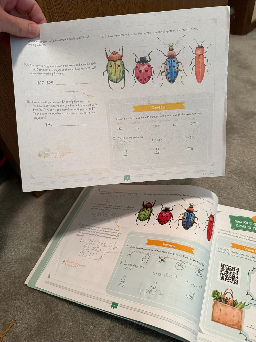 Good and Beautiful Math 5 Course Book - Green